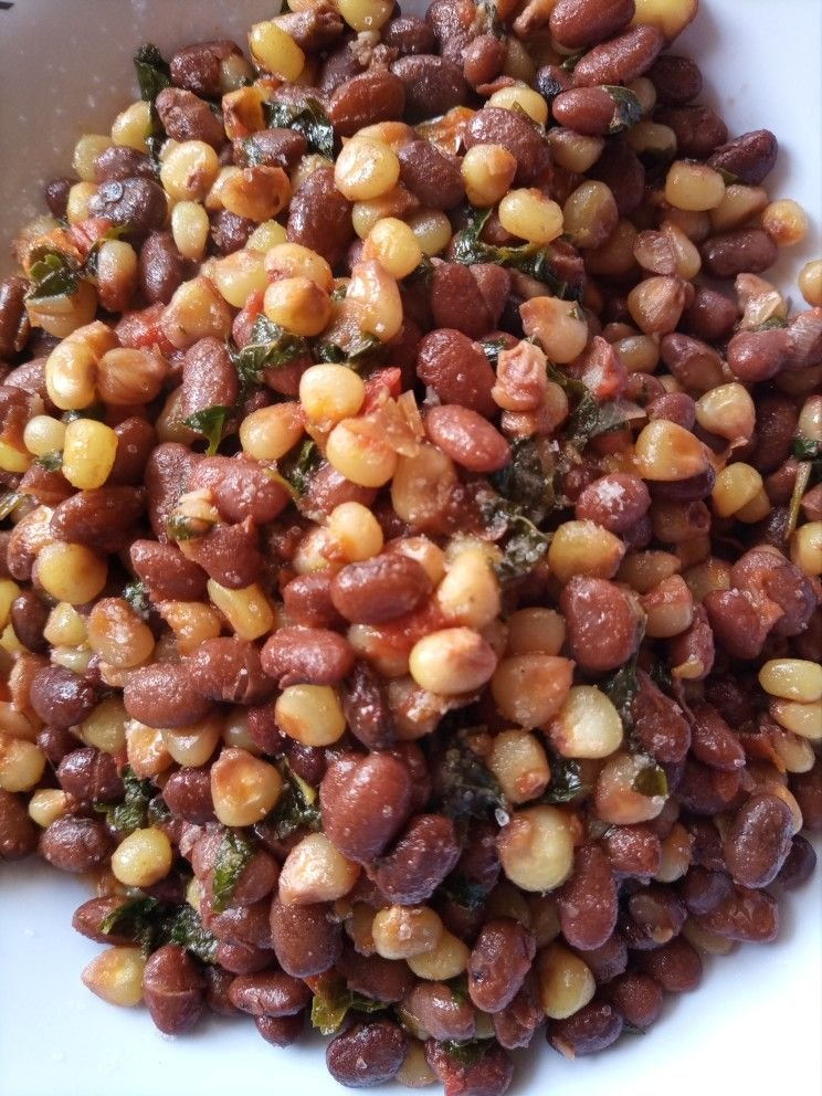 Sorghum grains